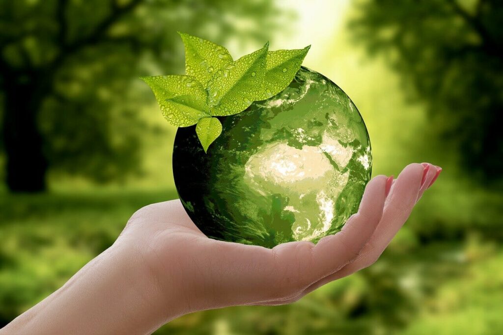sustainability in a disposable world