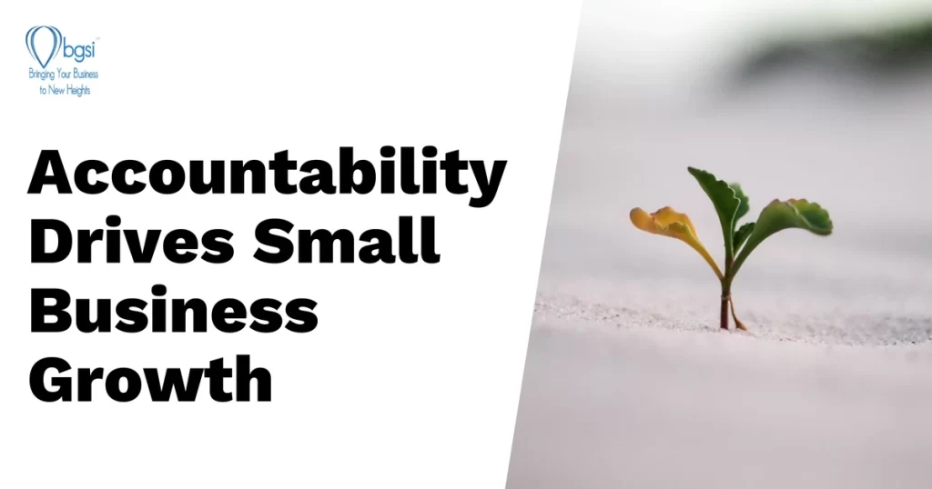 How accountability drives small business growth | a photo of a little plant growing to signify growth | BGSICoaching